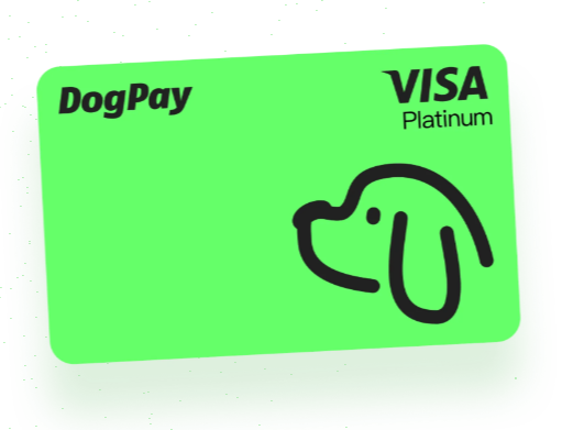 DogPay卡代KYC